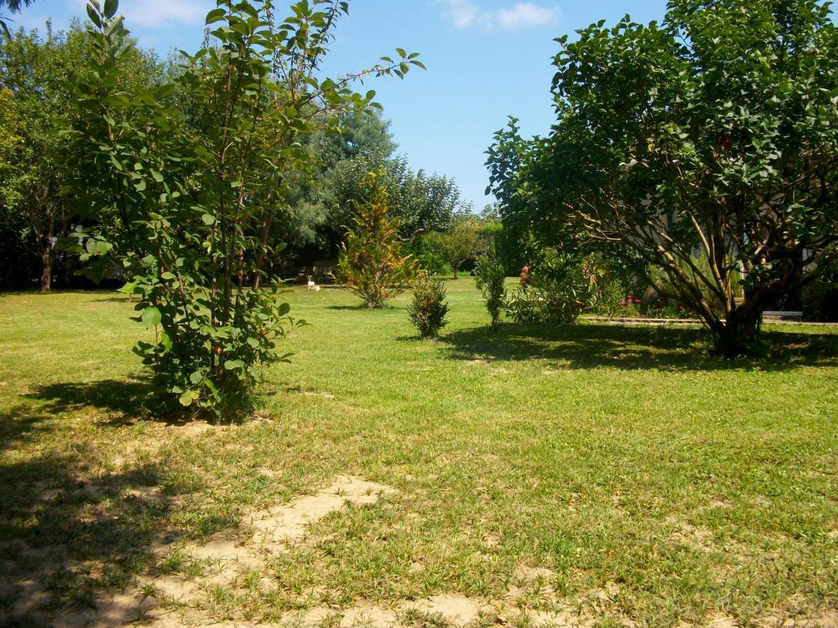 Saint-André-de-Cubzac Domaine De Monein Bed & Breakfast エクステリア 写真