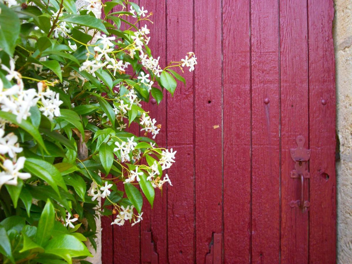 Saint-André-de-Cubzac Domaine De Monein Bed & Breakfast エクステリア 写真