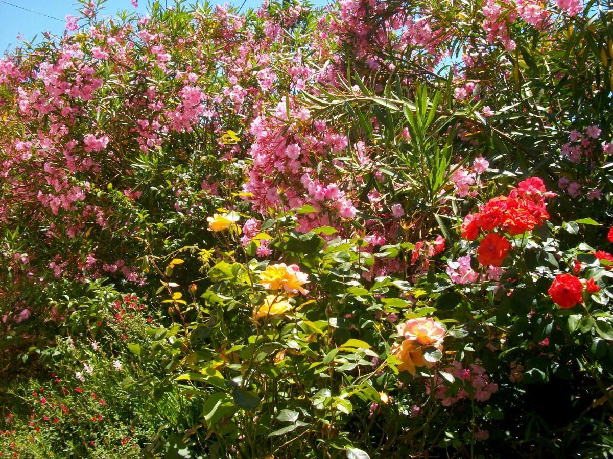 Saint-André-de-Cubzac Domaine De Monein Bed & Breakfast エクステリア 写真