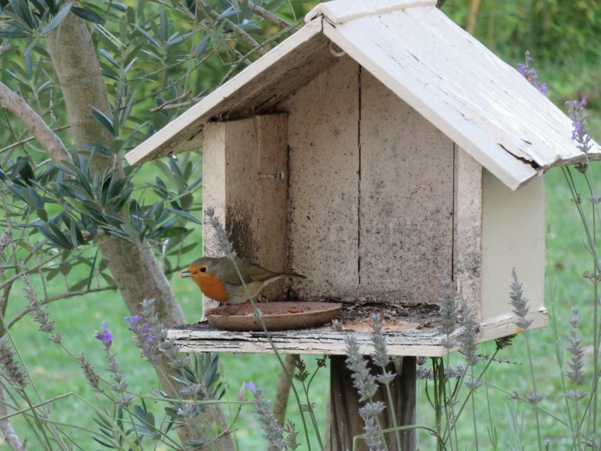 Saint-André-de-Cubzac Domaine De Monein Bed & Breakfast エクステリア 写真