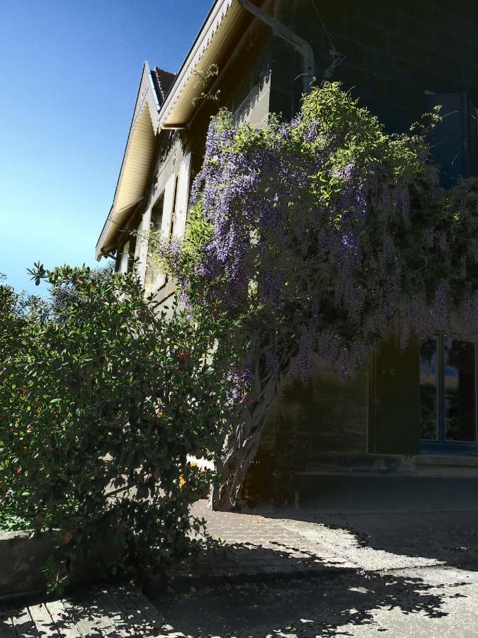 Saint-André-de-Cubzac Domaine De Monein Bed & Breakfast エクステリア 写真